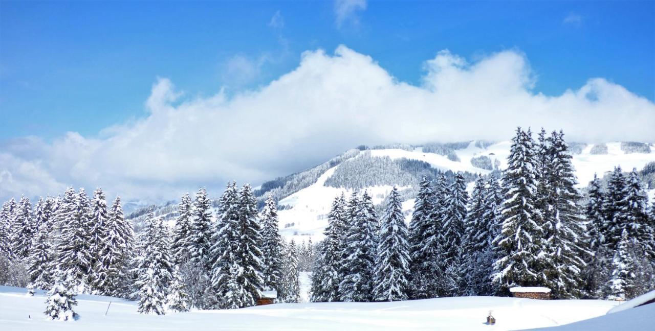Hotel La Grange D'Arly Megève Eksteriør billede